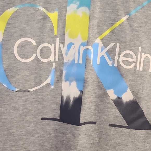 Calvin Klein Gray Sweatshirt with Blue and Yellow Logo - Picture 4 of 8